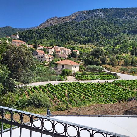 Apartments Pitve Jelsa  Dış mekan fotoğraf